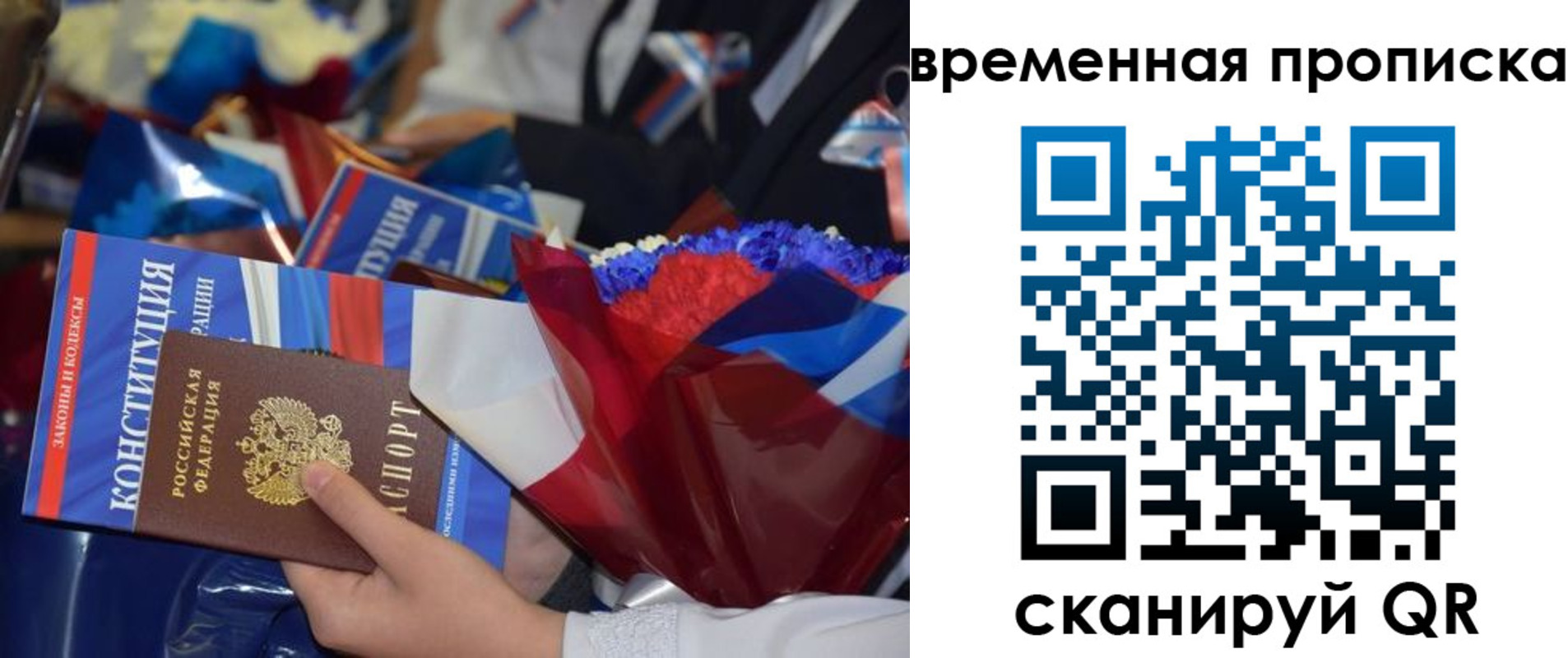 прописка гарантия в Вольске